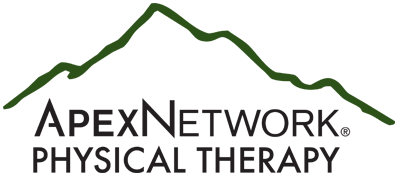 Apex Network PT